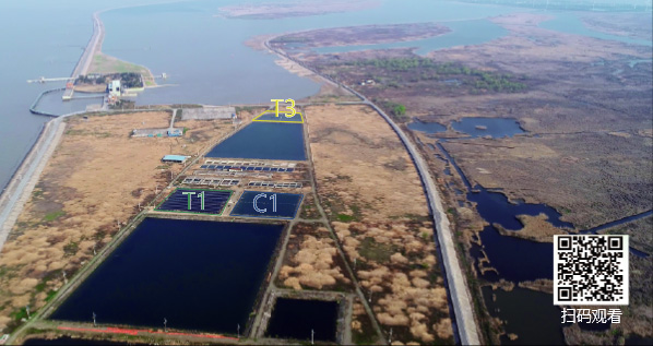 jxf吉祥坊(中国)官方网站