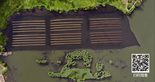 jxf吉祥坊(中国)官方网站