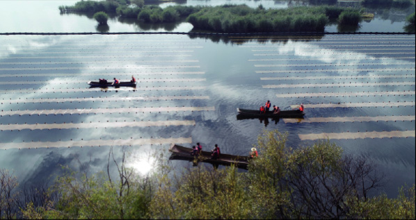jxf吉祥坊(中国)官方网站