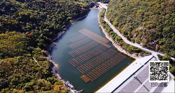 jxf吉祥坊(中国)官方网站